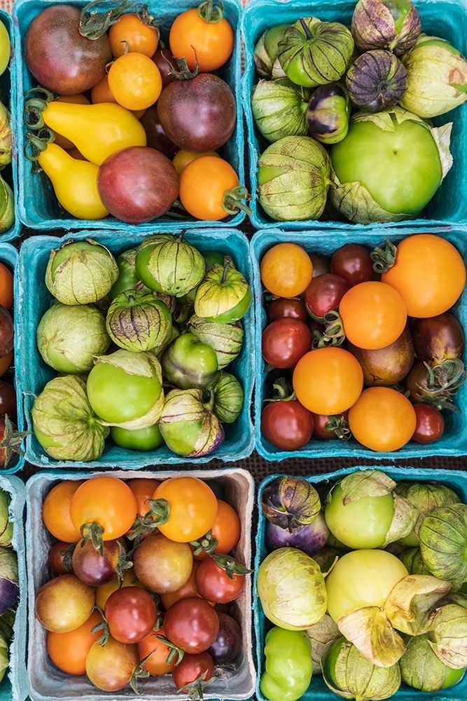 Washington State-Vancouver Fresh heirloom tomatoes for sale at a farmers market